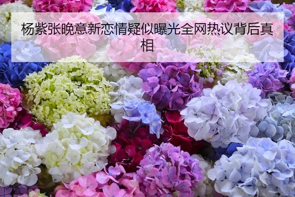 杨紫张晚意新恋情疑似曝光全网热议背后真相